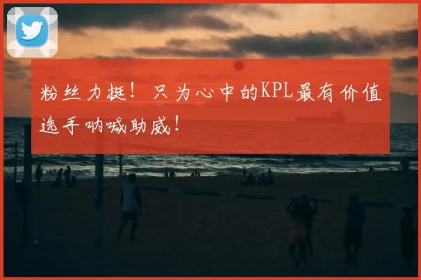 粉丝力挺！只为心中的KPL最有价值选手呐喊助威！