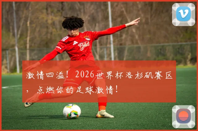 激情四溢！2026世界杯洛杉矶赛区，点燃你的足球激情！