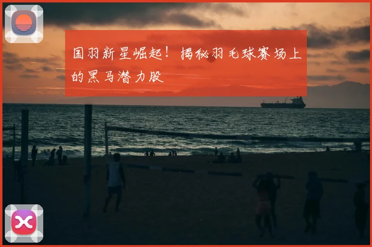 国羽新星崛起！揭秘羽毛球赛场上的黑马潜力股